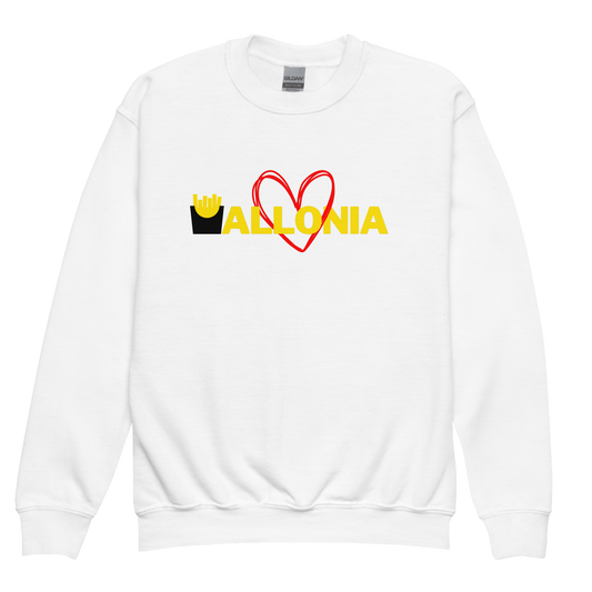 Youth crewneck sweatshirt | The Must-Have Sweatshirt for Kids